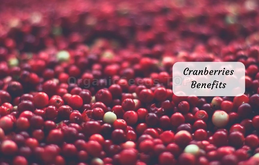 13 Benefits of Cranberries