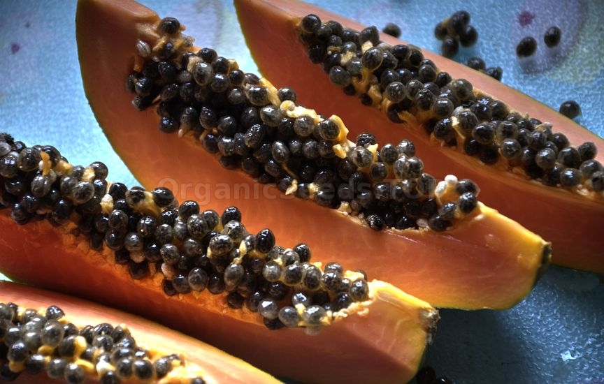 Benefits of Papaya Seeds