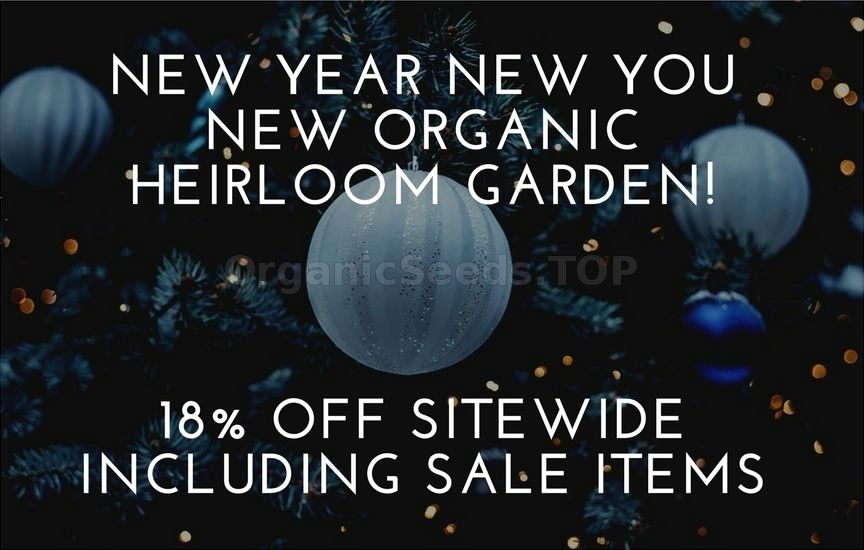 New Year New You New Organic Garden!
