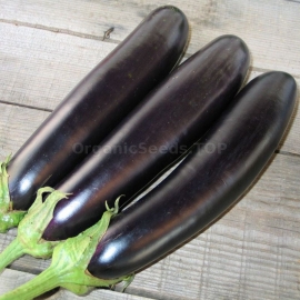 «Long Pop» - Organic Eggplant Seeds