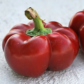 «Novogoshary» - Organic Pepper Seeds