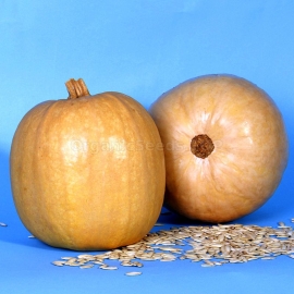 «Lady Nails» - Organic Pumpkin Seeds
