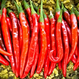 «Cayenne» - Organic Hot Pepper Seeds