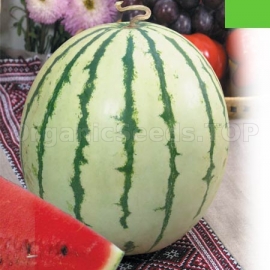 «Borisfen» - Organic Watermelon Seeds
