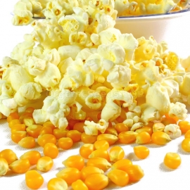 «Popcorn Yellow» - Organic Corn Seeds
