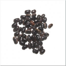 «Marble» - Organic Bean Seeds