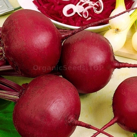 «Early Miracle» - Organic Beetroot Seeds