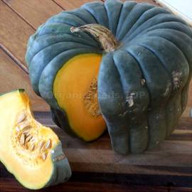«Queensland Blue» - Organic Pumpkin Seeds