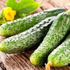 «Parizhskiy Kornishon» - Organic Cucumber Seeds