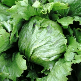 «Evelina» - Organic Salad Seeds