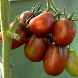 «De Barao Black» - Organic Tomato Seeds