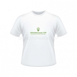 White Women's Branded T-shirt - ORGANICseeds™