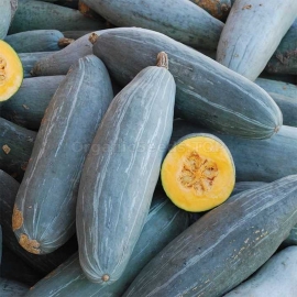 «Guatemalan Blue Banana» - Organic Pumpkin Seeds