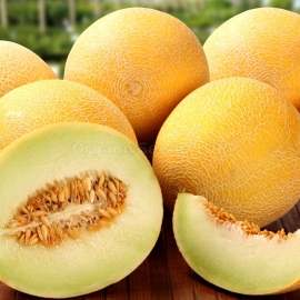 «Bereginya» - Organic Melon Seeds