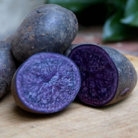 «Purple Majesty» - Organic Potato Seeds