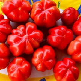 «Etual» - Organic Tomato Seeds
