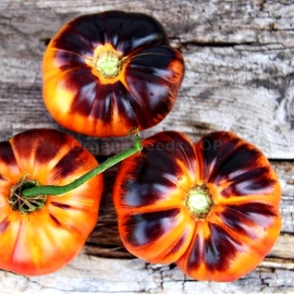 «Afternoon Delight» - Organic Tomato Seeds