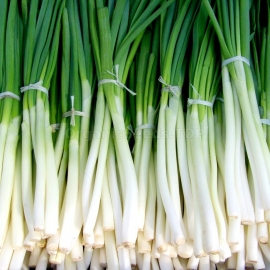 «Japanese Ishikura» - Organic Onion Seeds