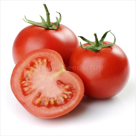 «Flanders» - Organic Tomato Seeds