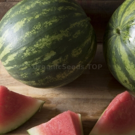 «Wizard» - Organic Watermelon Seeds