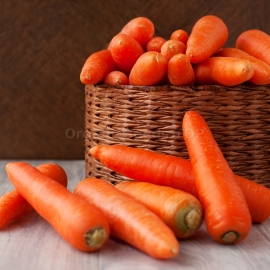 «Regulskaya» - Organic Carrot Seeds