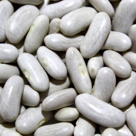 «Long Pod» - Organic Bean Seeds