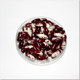 «Rareripe» - Organic Bean Seeds