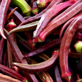 «Alabama Red» - Organic Okra Seeds