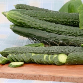 «Chinese heat resistant» - Organic Cucumber Seeds