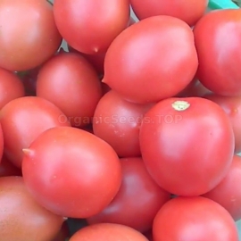 «De-Barao Royal Pink» - Organic Tomato Seeds