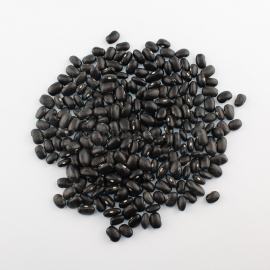 «Black turtle» - Organic Bean Seeds