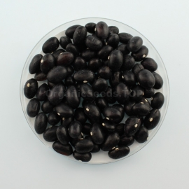 «Marvel of Venice» - Organic Bean Seeds