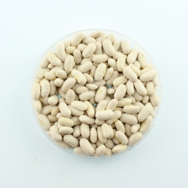 «Sonesta» - Organic Bean Seeds