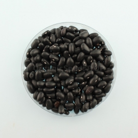 «Black night» - Organic Bean Seeds