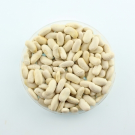 «Shahinya» - Organic Bean Seeds