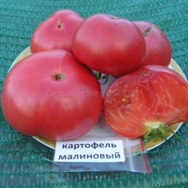 «Potato raspberry» - Organic Tomato Seeds