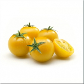 «Cherry yellow round» - Organic Tomato Seeds