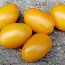 «Gourmet Yellow» - Organic Tomato Seeds