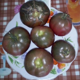 «Black sea» - Organic Tomato Seeds