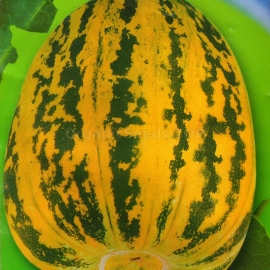 «Sweetie» - Organic Melon Seeds