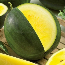«Janosik» - Organic Watermelon Seeds
