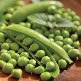«Prelado» - Organic Pea Seeds