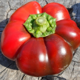 «Gogosar Vlad» - Organic Pepper Seeds