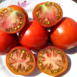 «Dwarf Wild Fred» - Organic Tomato Seeds