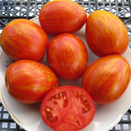 «Schimmeig Creg» - Organic Tomato Seeds