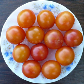 «Kraiova» - Organic Tomato Seeds