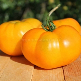 «Kellogg’s Breakfast» - Organic Tomato Seeds