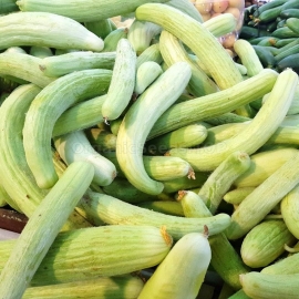 «Armenian» - Organic Cucumber Seeds