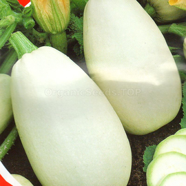 «Lady fingers» - Organic Squash Seeds