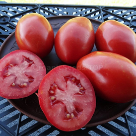 Фото «New aquarelle» - Organic Tomato Seeds